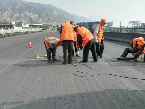 泸西道路桥梁病害治理